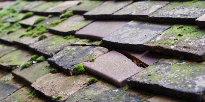 Radyr roof repair costs
